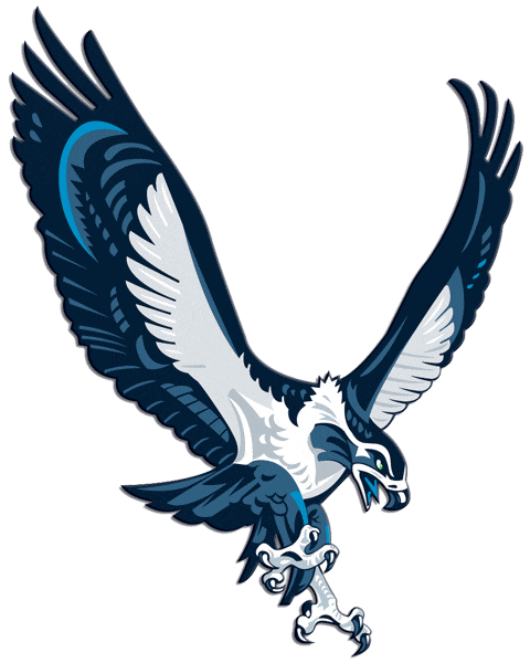 Seattle Seahawks 2002-2011 Alternate Logo iron on paper